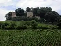 Ruinen der Burg Arlay (13.&nbsp;Jahrhundert)
