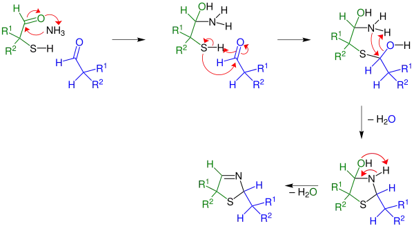 Mechanismus
