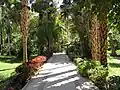 Weg im Botanischen Garten