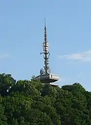 Bild des Objektes