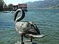 Der Bühler Schwan