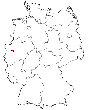 Verlauf der B 231