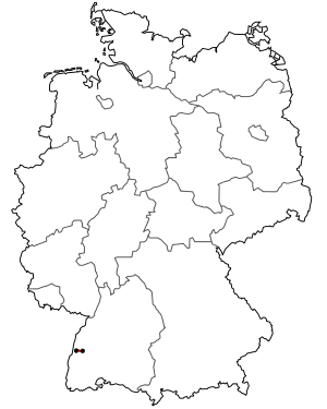 Verlauf der B 415