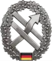 Barettabzeichen der Truppe für Operative Kommunikation, die seit 2017 dem Kommando Cyber- und Informationsraum der Bundeswehr untersteht.