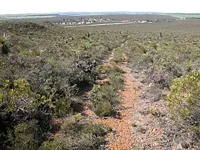Badgingarra-Nationalpark