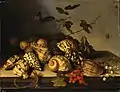 Balthasar van der Ast, Meeresschnecken und Früchte, 1620er Jahre, Öl auf Eichenholz, 29 × 37&nbsp;cm, Gemäldegalerie Alte Meister, Dresden