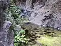 Wasserführender Bach im Tal