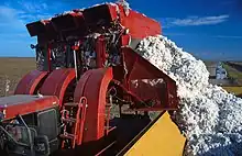 Maschinelle Ernte mit Baumwollernter und Module Builder in Texas