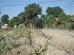 Im Westen von Bebonuk, nahe dem Rio Comoro