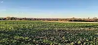 Stadt Beckum in der Beckumer Mulde, Blick von Südosten