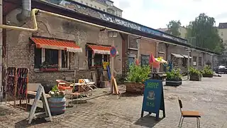 Making-Of: Filmgärtnerische Betreuung der ARD-Serie Berlin-Weißensee: Andreas Frädrich pflanzte dazu typisches Unkraut der 1980er Jahre für eine Straßenszene 2017
