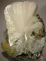 Garbenförmiges Mineral-Aggregat aus tafeligen Bertranditkristallen aus dem Golconda-Pegmatit bei Governador Valadares, Brasilien(Größe: 5,3&nbsp;cm&nbsp;×&nbsp;4,1&nbsp;cm&nbsp;×&nbsp;2,7&nbsp;cm)