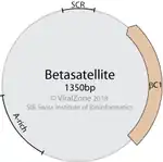 Genomkartevon Betasatellite…