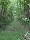 Eine alte Schießbahn