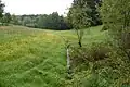 Die Murach im Quellgebiet bei Oberlangau