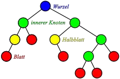 Binärbaum mit Knotentypen