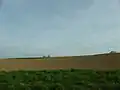 Löss-haltiger Acker auf einer Flugsanddüne bei Reinheim