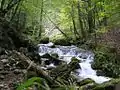 Bodenbach durchs Bodental