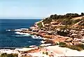 Bondi Beach Coastal Walk