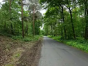 Borgheeser Weg