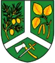 Wappen von Borová Lada