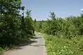 Wanderweg um den See