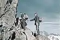 Brieftaubensoldaten beim Klettern