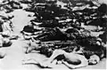 Massengrab, nach der Befreiung, 16.&nbsp;April 1945