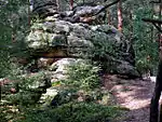 Felsen am Buchstein (Geotop 462R001)