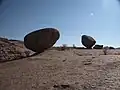 Bull’s Party