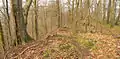 Randbereich der Kuppe des Großen Everstein