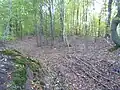 Übersicht innerer Wall (links ehemaliger Zugangsbereich, Nord), oben südlicher Teil des Walls