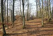 Gesamtansicht von Osten