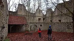 Burgruine Steinhart