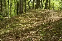 Bild 7: Wall an der Nordseite der Hauptburg, der Rest der Ringmauer
