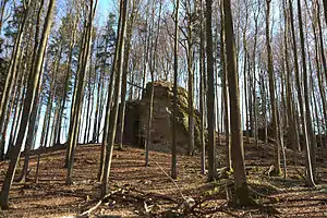 Burgstall Hienberg