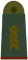 Oberstabsfeldwebel