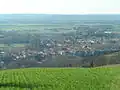 Blick auf Carbonne