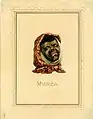 Munga