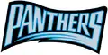 Wortmarke der Panthers von 1995