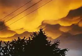 Mammatus nach einem nächtlichen Gewitter über dem Moseltal, 29.&nbsp;Mai 2000