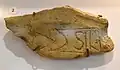 Centurien-Graffito auf einer Dolium-Scherbe: (Centuria) Sili[…],AE 2015, 01034. Lesefund aus dem Bereich des vicus