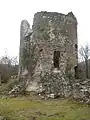 Kartauserruine