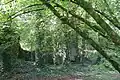 Reste des Herrenhauses von Beaucours