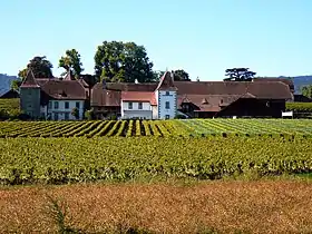 Schloss Duillier