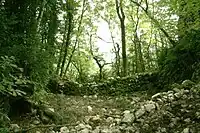 Überreste des Château de Montgriffon
