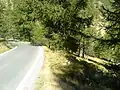 Die enge Passstraße führt teilweise durch einen Wald; hier die italienische Seite, ca. 1780&nbsp;m.ü.NN