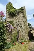 Ruine des Wehrturms