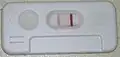Coronavirus-Antikörperschnelltest. Rechts Kontrollbande, links positive Nachweisbande