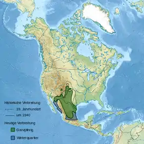 Topografische Karte Nordamerikas mit eingezeichnetem Artareal